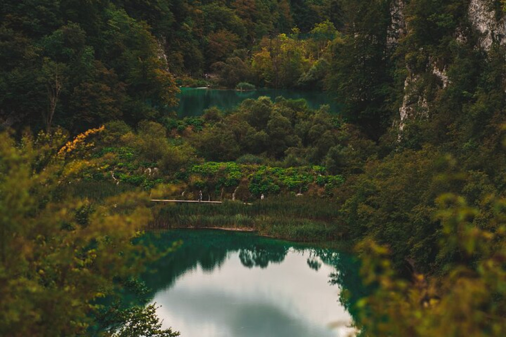 Booker Travel Agency