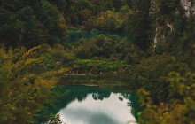 Booker Travel Agency16