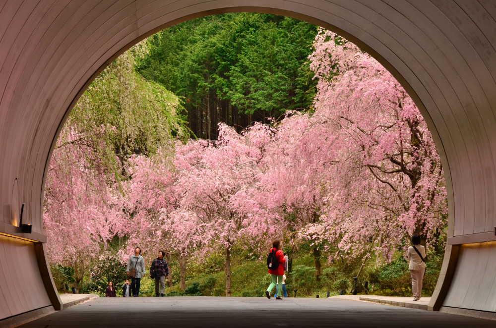 Private Taxi Tour from Kyoto to Miho Museum & Shigaraki Pottery Village