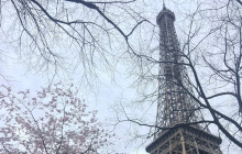 LivTours46