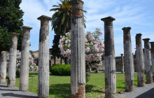 LivTours11