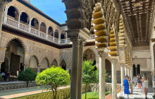 LivTours1
