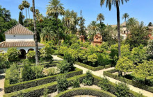 LivTours4
