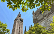 LivTours8
