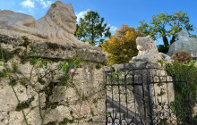 LivTours7