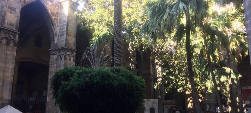 Discover Barcelona’s Gothic Quarter | Semi-Private Walking Tour, photo 3 of 8