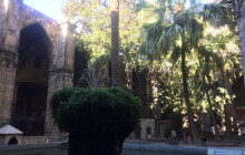 LivTours3