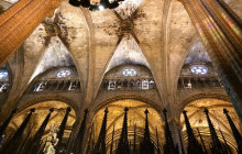 LivTours5