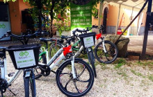LivTours10