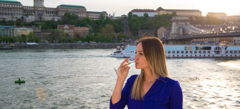 Danube Drink & Cruise