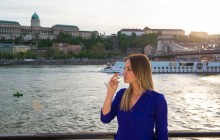 Danube Drink & Cruise