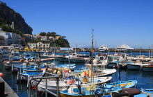 LivTours3