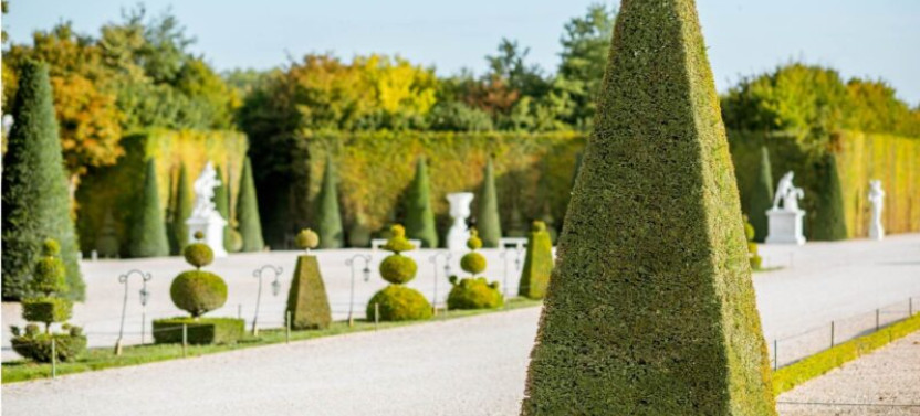 Versailles Royal Palace And Gardens With Exclusive Kings' Apartment