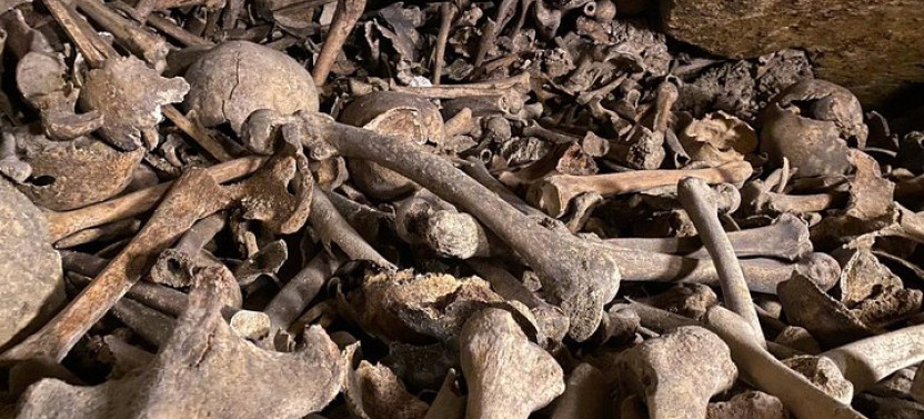 Paris Catacombs Semi-private Tour With VIP Access