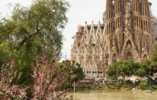 LivTours5