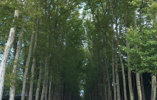 LivTours22