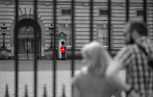 LivTours6