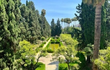 LivTours11