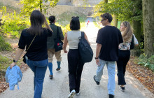 LivTours11
