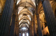 LivTours4