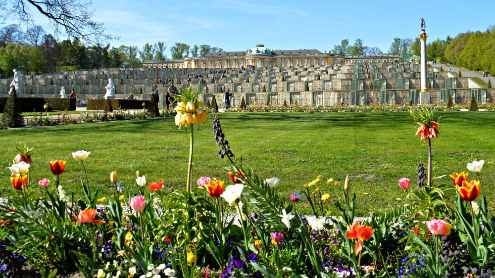 Full Day Versailles Tour