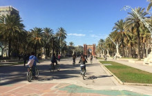 LivTours4