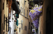 LivTours3