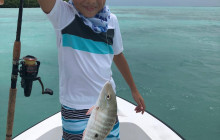 GoFish Belize2