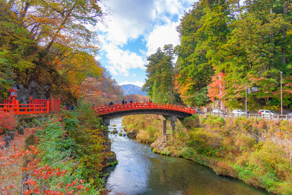 From Tokyo: Nikko the Beauty of Kegon Waterfall & Chuzenji Lake