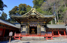 Amigo Tours Japan GK4