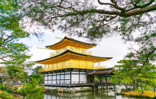 Amigo Tours Japan GK1