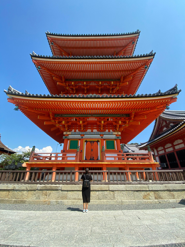 Discover Nara Kyoto and Fushimi Inari from Osaka