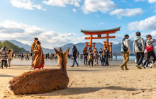 Amigo Tours Japan GK1