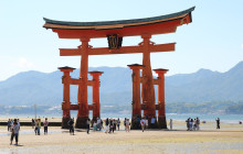 Amigo Tours Japan GK5