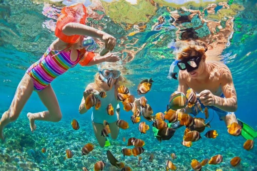 Cartagena: Rosario & BarÙ Islands All Inclusive Ticket
