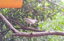 AV COLOMBIA6