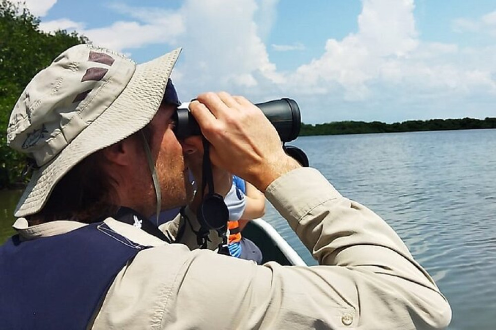 Private Bird Watching Tour In The Mangrove
