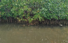 AV COLOMBIA4