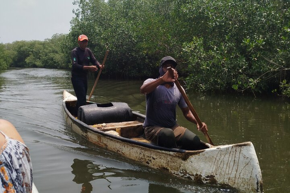 Fisherman's Island In The Mangroves In Canoe