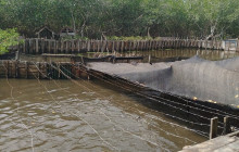 AV COLOMBIA11