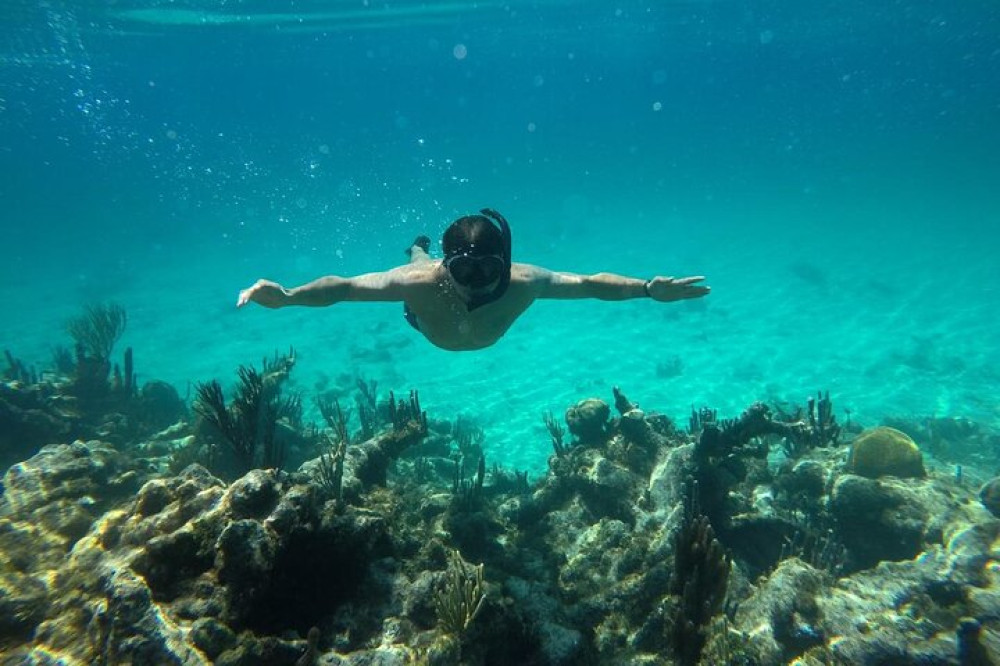 Basic Diving Tour In Rosario Islands Lunch Included