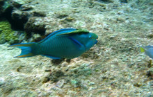AV COLOMBIA21