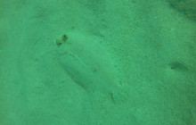 AV COLOMBIA29