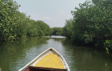 AV COLOMBIA12