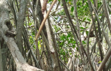 AV COLOMBIA22