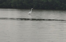 AV COLOMBIA26