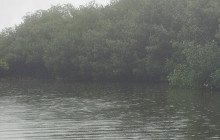 AV COLOMBIA29