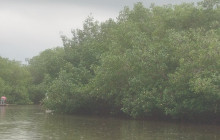 AV COLOMBIA30