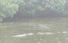 AV COLOMBIA32