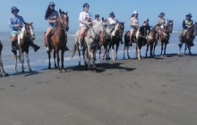 AV COLOMBIA5